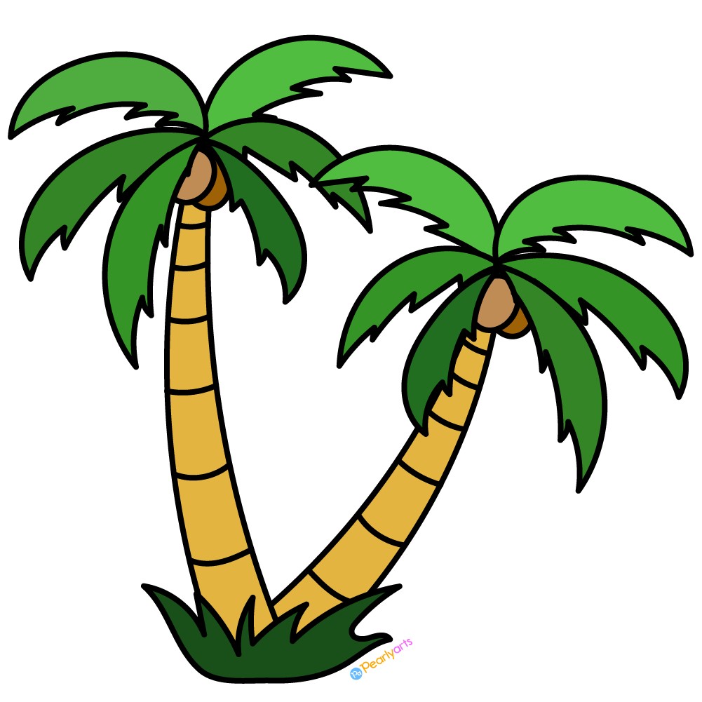 palmtree
